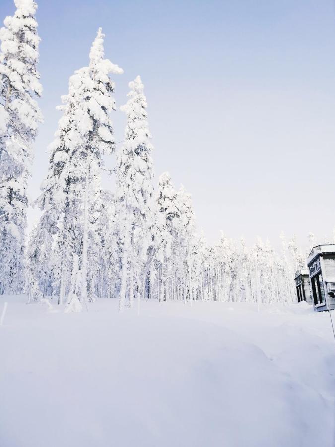 Levi Sky Igloo With Private Sauna And Hot Tub Eksteriør billede
